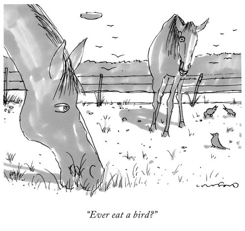 "Ever eat a bird?"