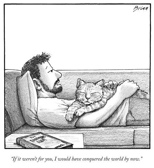 "If it weren't for you, I would have conquered the world by now."