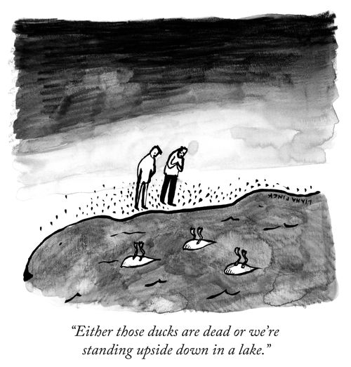 "Either Those Ducks are Dead Or We're Standing Upside Down In A Lake."