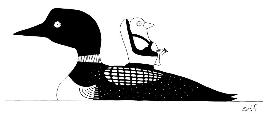 A baby duck in a tiny car seat on the mother duck's back.