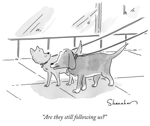 "Are they still following us?"