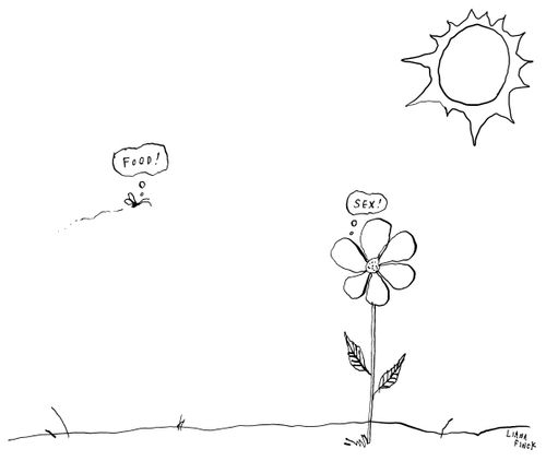 Pollination Process