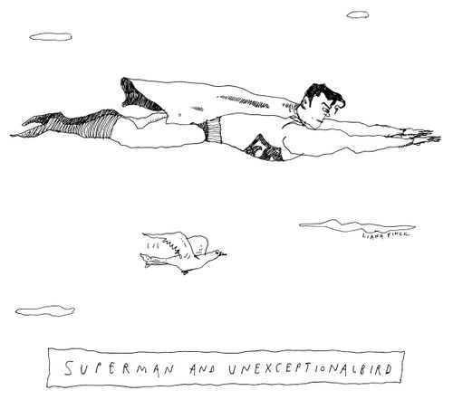 Superhero and Unexceptionalbird.