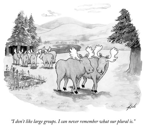 "I don't like large groups. I can never remember what our plural is."