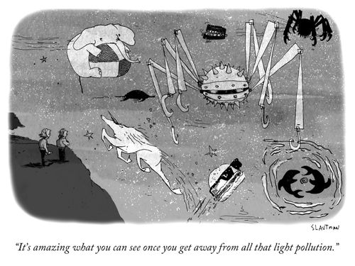 "It's amazing what you can see once you get away from the light pollution."