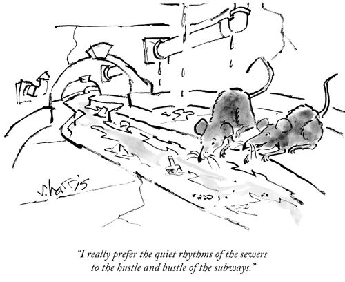 "I really prefer the quiet rhythms of the sewers to the hustle and bustle of the subways."