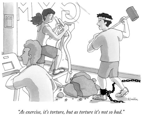 "As exercise, it's torture, but as torture, it's not so bad."