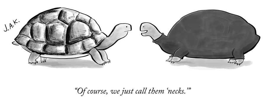 "Of course, we just call them 'necks'"