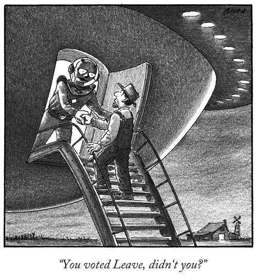 "You voted Leave, didn't you?"
