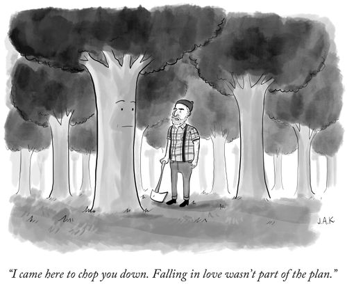 "I came here to chop you down. Falling in love wasn't part of the plan."
