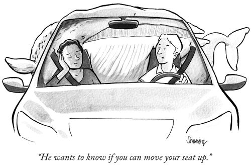 "He wants to know if you can move your seat up."