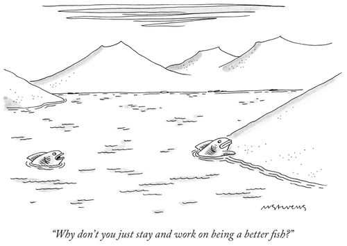 "Why don't you just stay and work on being a better ﬁsh?"