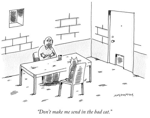 "Don't make me send in the bad cat."