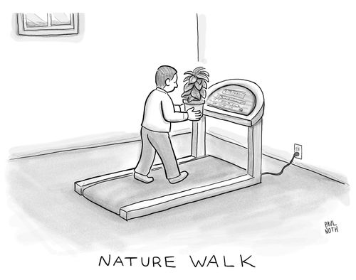 NATURE WALK