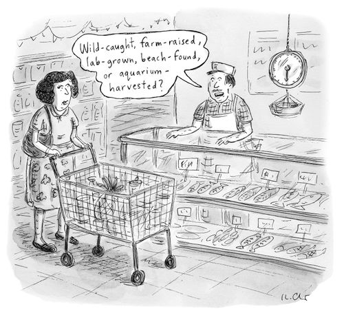 "Wild-caught, farm-raised, lab-grown, beach-found, or aquarium-harvested."
