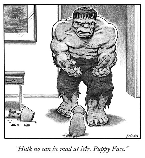 "Hulk no can be mad at Mr. Puppy Face"