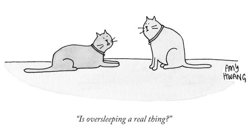 "Is oversleeping a real thing?"