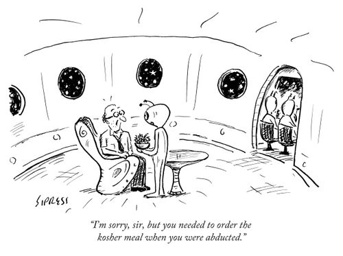 "I'm sorry, sir, but you needed to order the kosher meal when you were abducted."