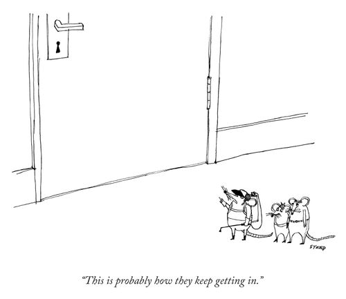 "This is probably how they keep getting in."