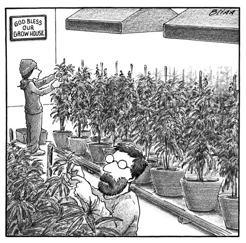 God bless our grow house.