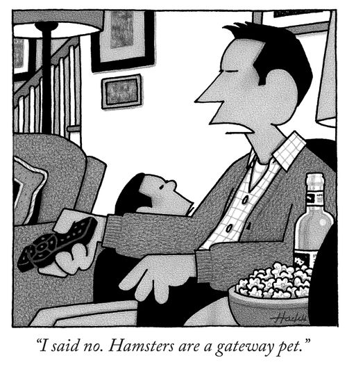 "I said no. Hamsters are a gateway pet."
