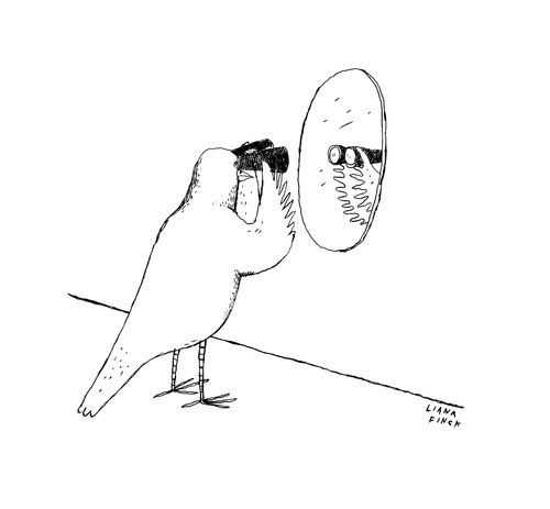 A bird looks at itself in the mirror with binoculars.