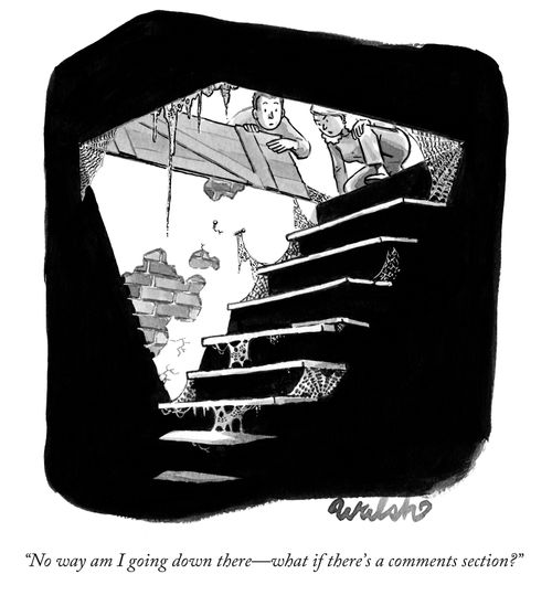 "No way am I going down there- what if there's a comments section?"
