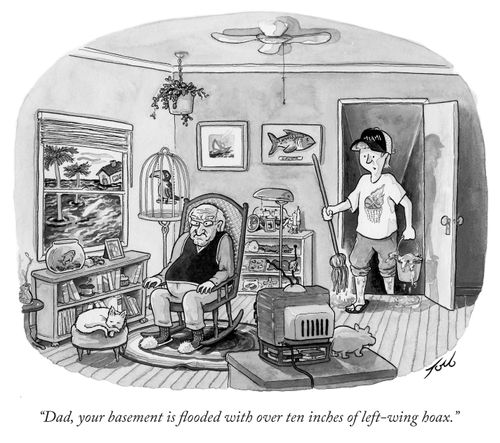 "Dad, your basement is flooded with over ten inches of left-wing hoax."