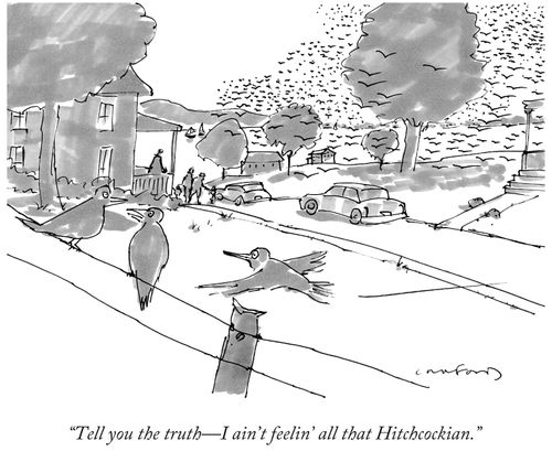 "Tell you the truth - I ain't feelin' all that Hitchcockian."