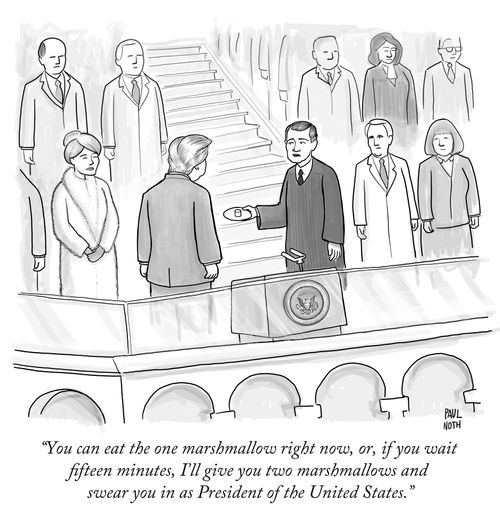 "You can eat the one marshmallow right now, or if you wait fifteen minutes, I'll give you two marshmallows and swear you in as President of the United States."