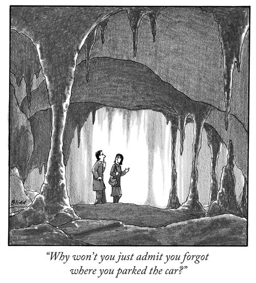 "Why won't you just admit you forgot where you parked the car?"