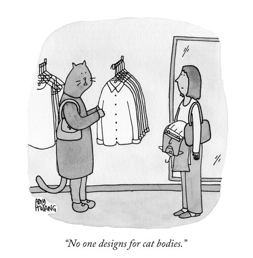 "No one designs for cat bodies."