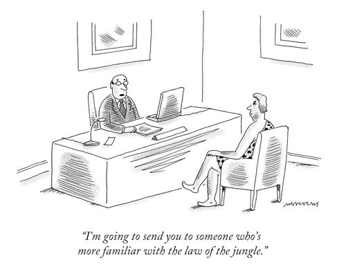 "I'm going to send you to someone who's more familiar with the law of the jungle."