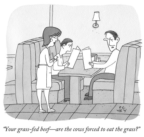 "Your grass-fed beef - are the cows forced to eat the grass?"