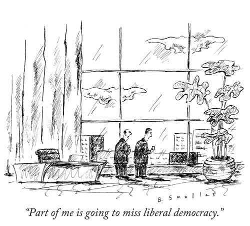 "Part of me is going to miss liberal democracy."