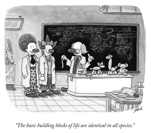 "The basic building blocks of life are identical in all species."