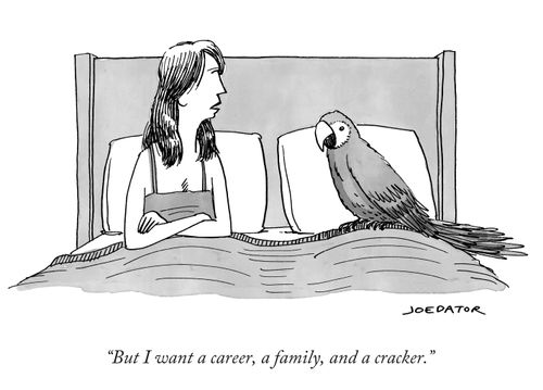 "But I want a career, a family, and a cracker"