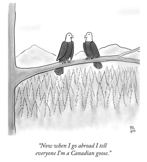 "Now when I go abroad I tell everyone I'm a Canadian goose."