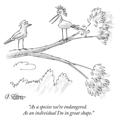 "As a species we're endangered. As an individual I'm in great shape."