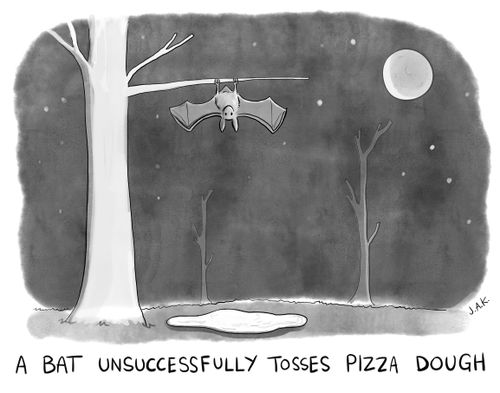 A bat unsuccessfully tosses pizza dough.