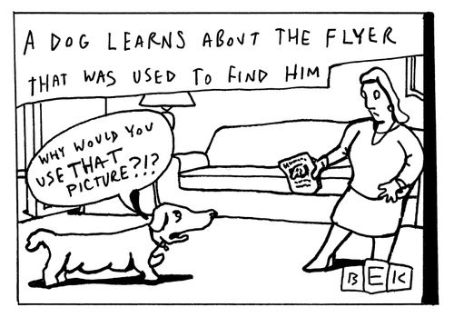 'A dog learns about the flyer that was used to find him.'