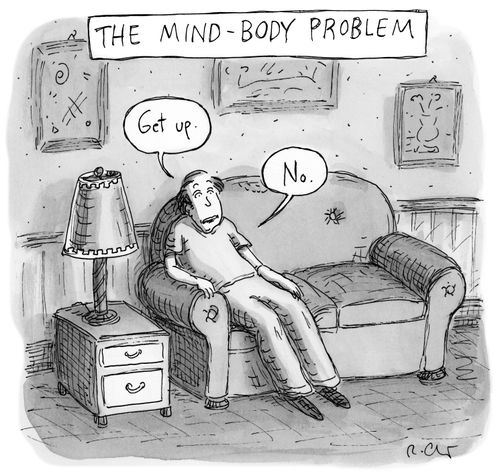 The mind-body problem