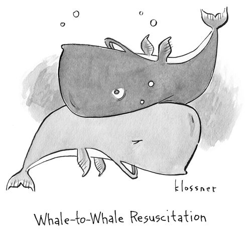 Whale-to-whale resuscitation