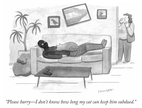 "Please hurry - I don't know how long my cat can keep him subdued."