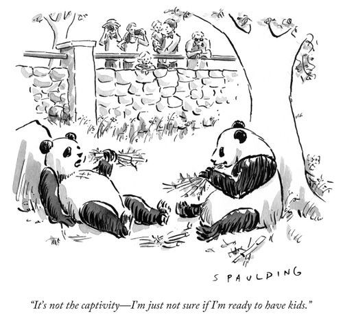 "It's not the captivity – I'm just not sure if I'm ready to have kids."