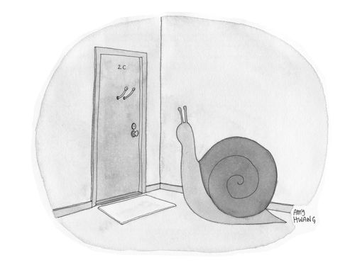 Snail Peephole