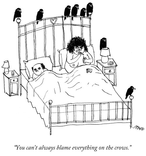 "You can't always blame everything on the crows."