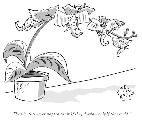 "The scientists never stopped to ask if they should - only if they could."