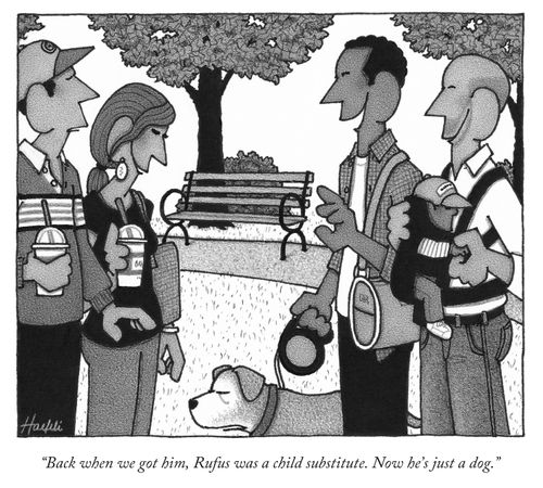 "Back when we got him, Rufus was a child substitute. Now he's just a dog."