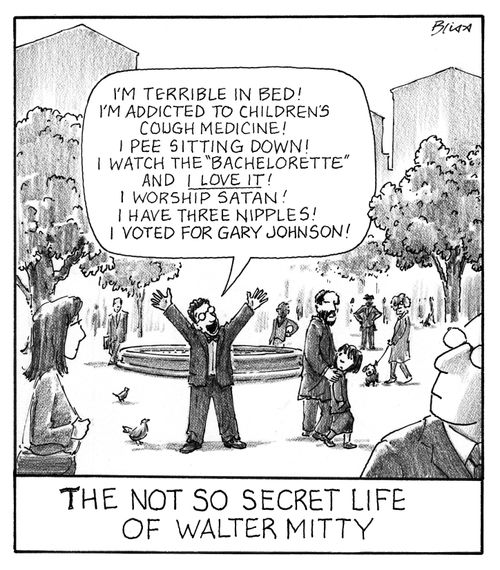 The not so secret life of Walter Mitty